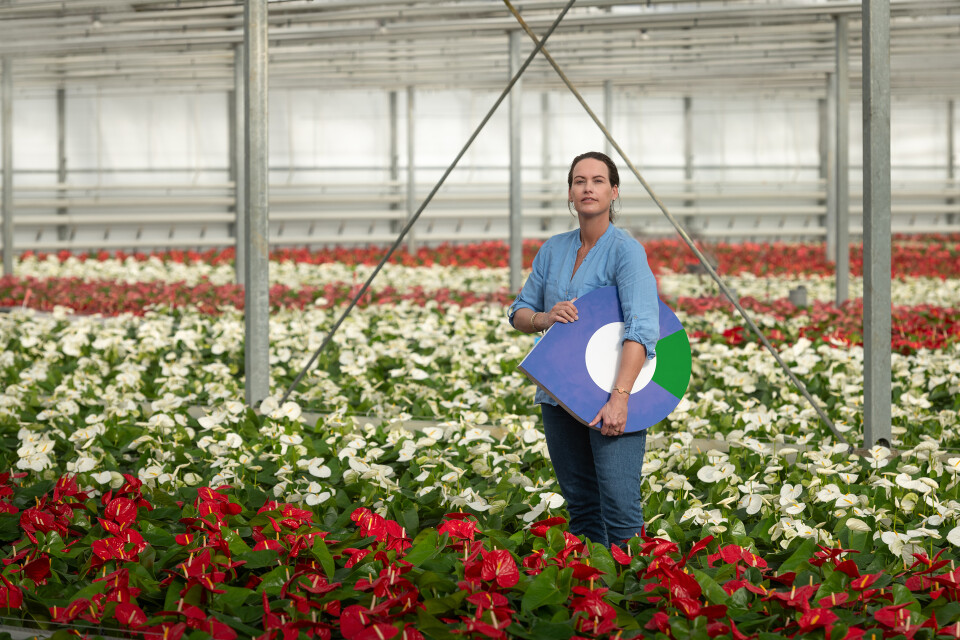 Afbeelding van een bloemkweker in een kas met het logo van werkcentrum in de handen